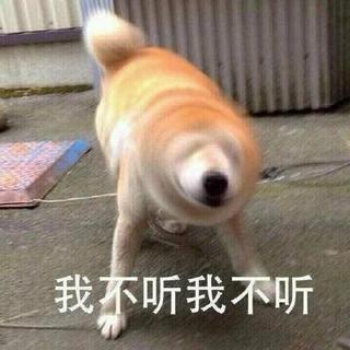 真·土嗨