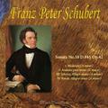 슈베르트 Schubert For Piano 5