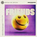 Friends (Bassjackers Remix)