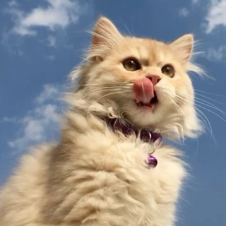 不慌不忙，温柔亦有力量