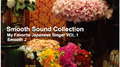 SMOOTH SOUND COLLECTION ~ MY FAVORITE JAPANESE SINGER VOL.1~专辑