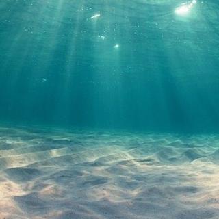 抖音最好听的二十首歌