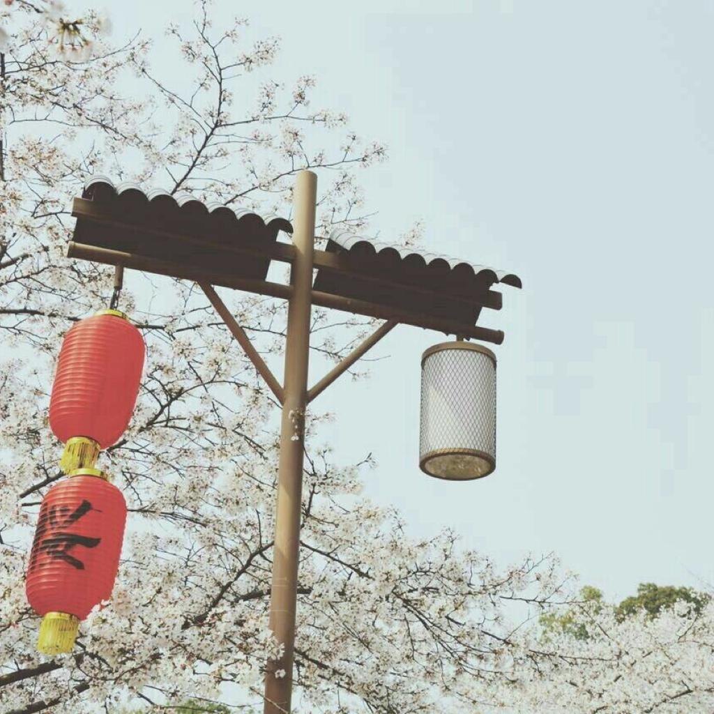 【民谣】我用这些民谣为你酿一杯酒