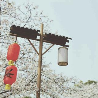 【民谣】我用这些民谣为你酿一杯酒