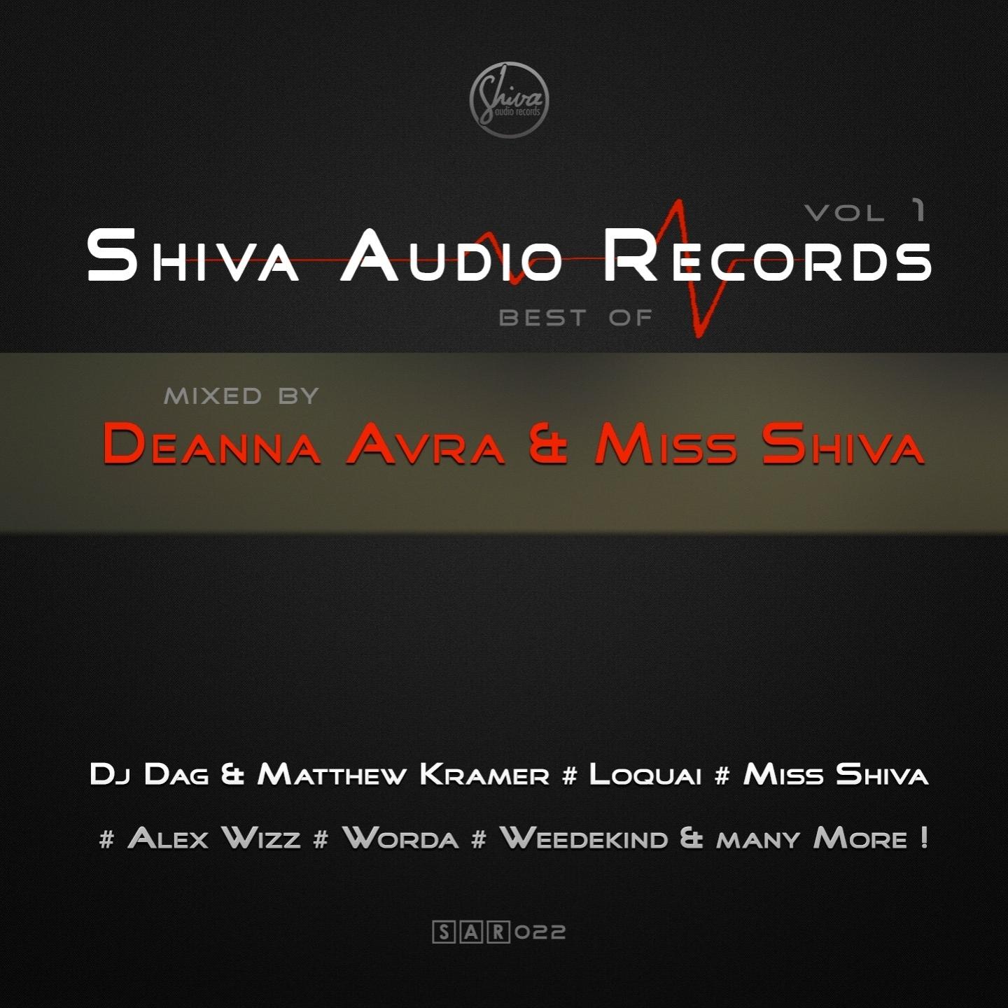 Best of Shiva Audio Records