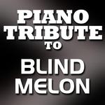 Blind Melon Piano Tribute - No Rain专辑