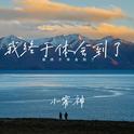 我终于体会到了专辑