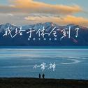 我终于体会到了专辑