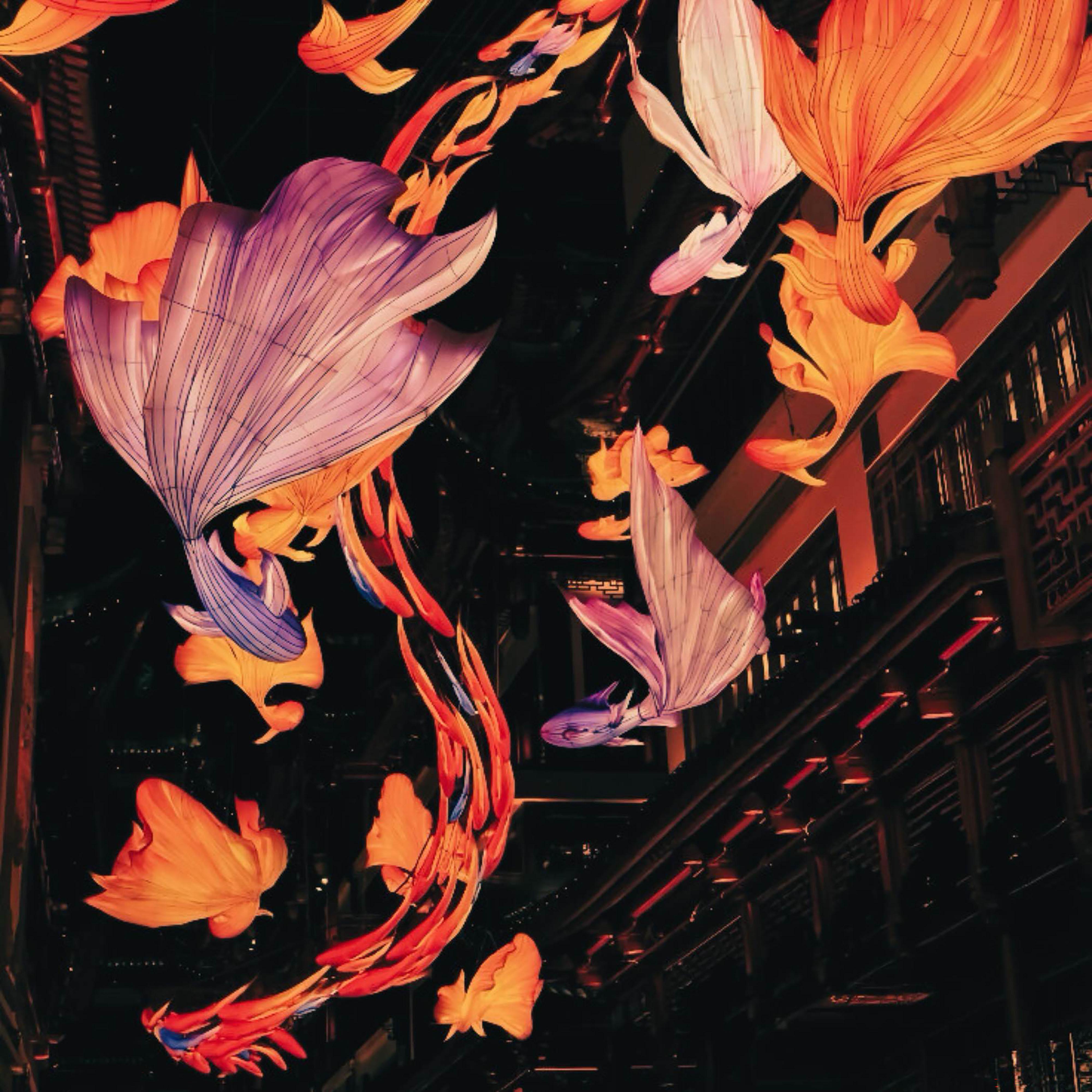 岁岁年（新春版）