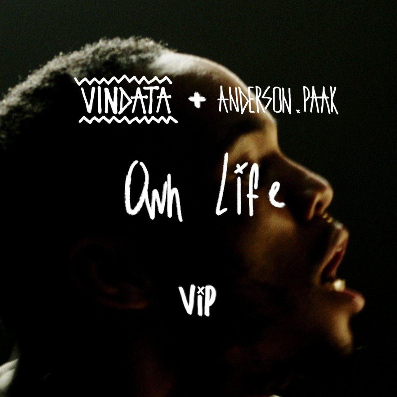 Own Life VIP专辑