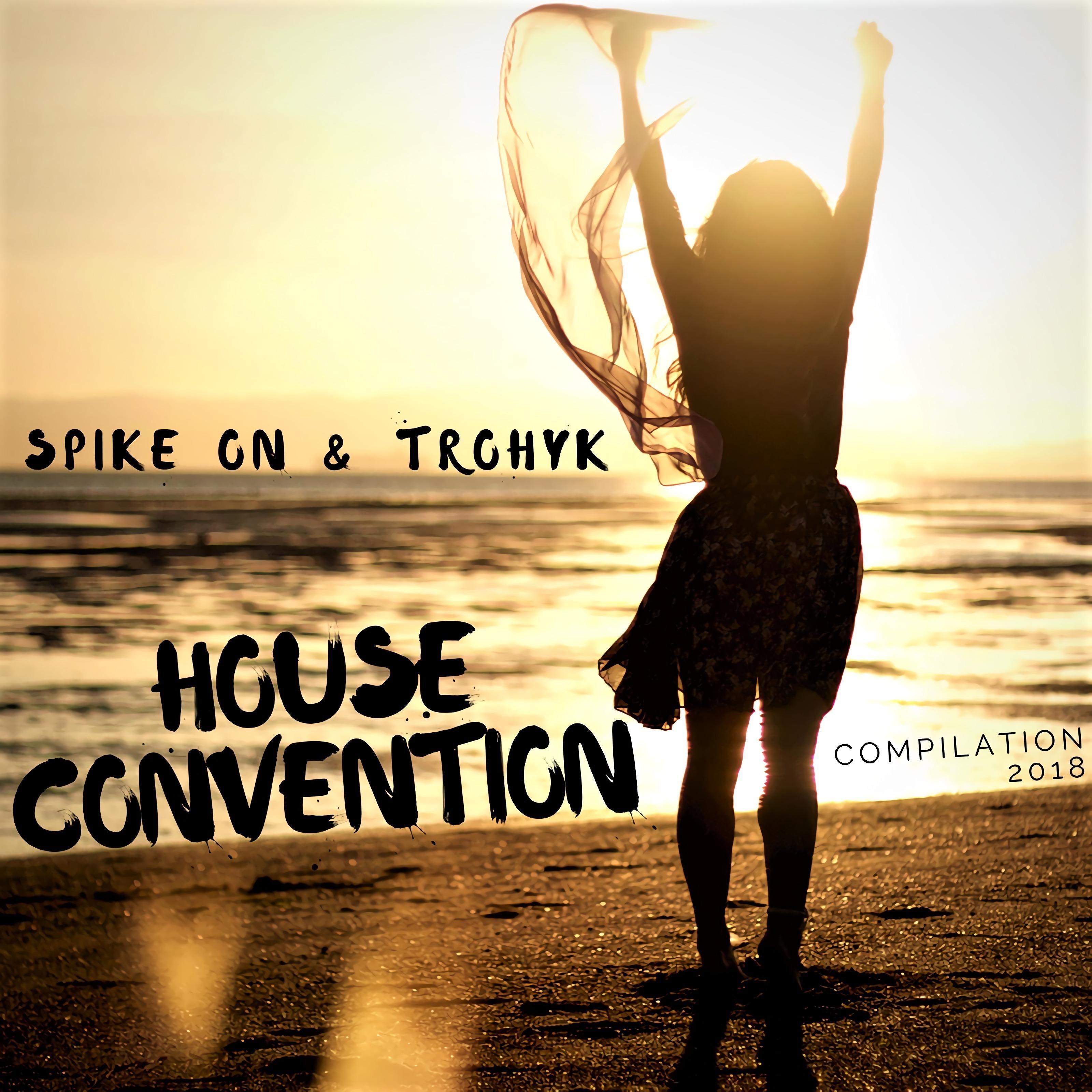 House Convention