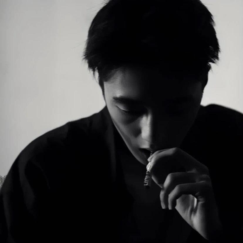 黄昏寄往南方