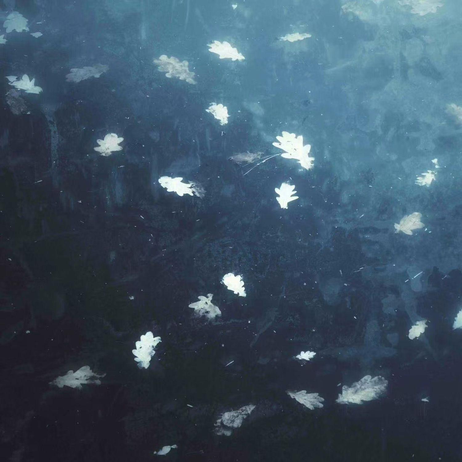 未命名的八音盒