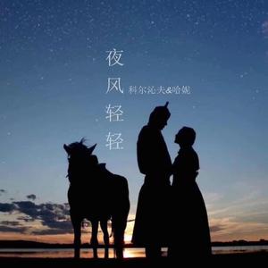 科尔沁夫&哈妮-夜风轻轻 伴奏