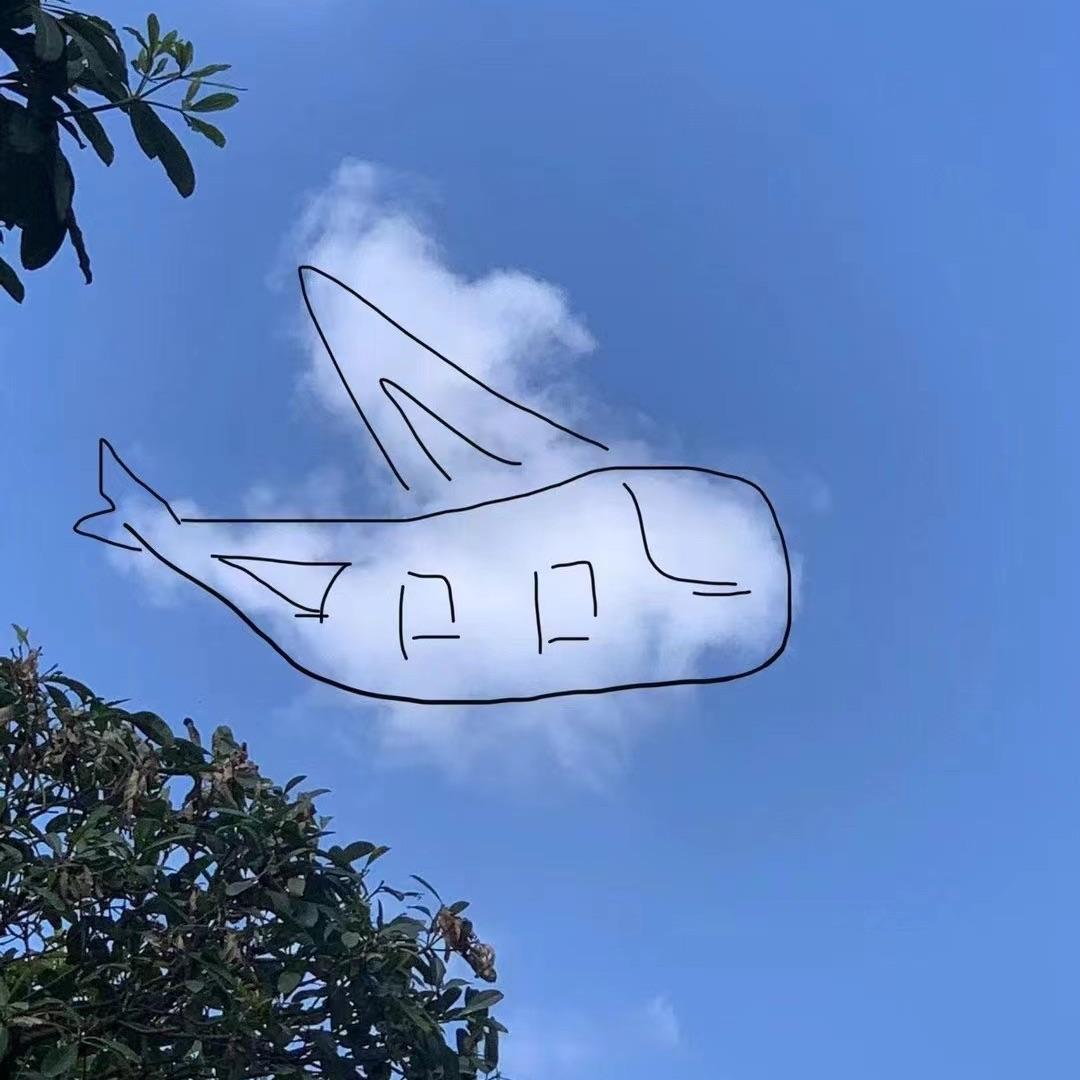 五月天