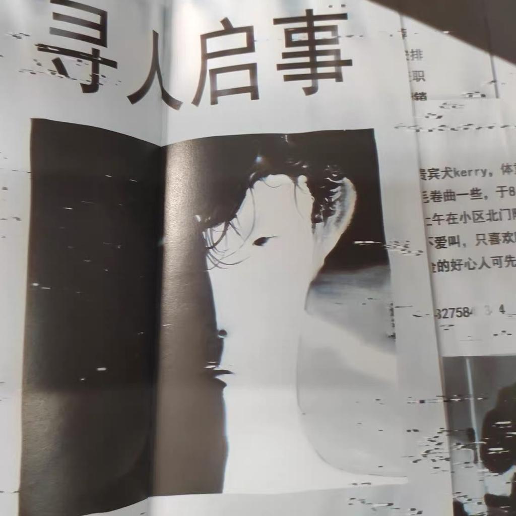 欧美·治郁「那会是一场海啸.」