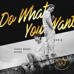 Do What You Want专辑