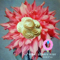 RE PINK BONNIE PINK REMIXES