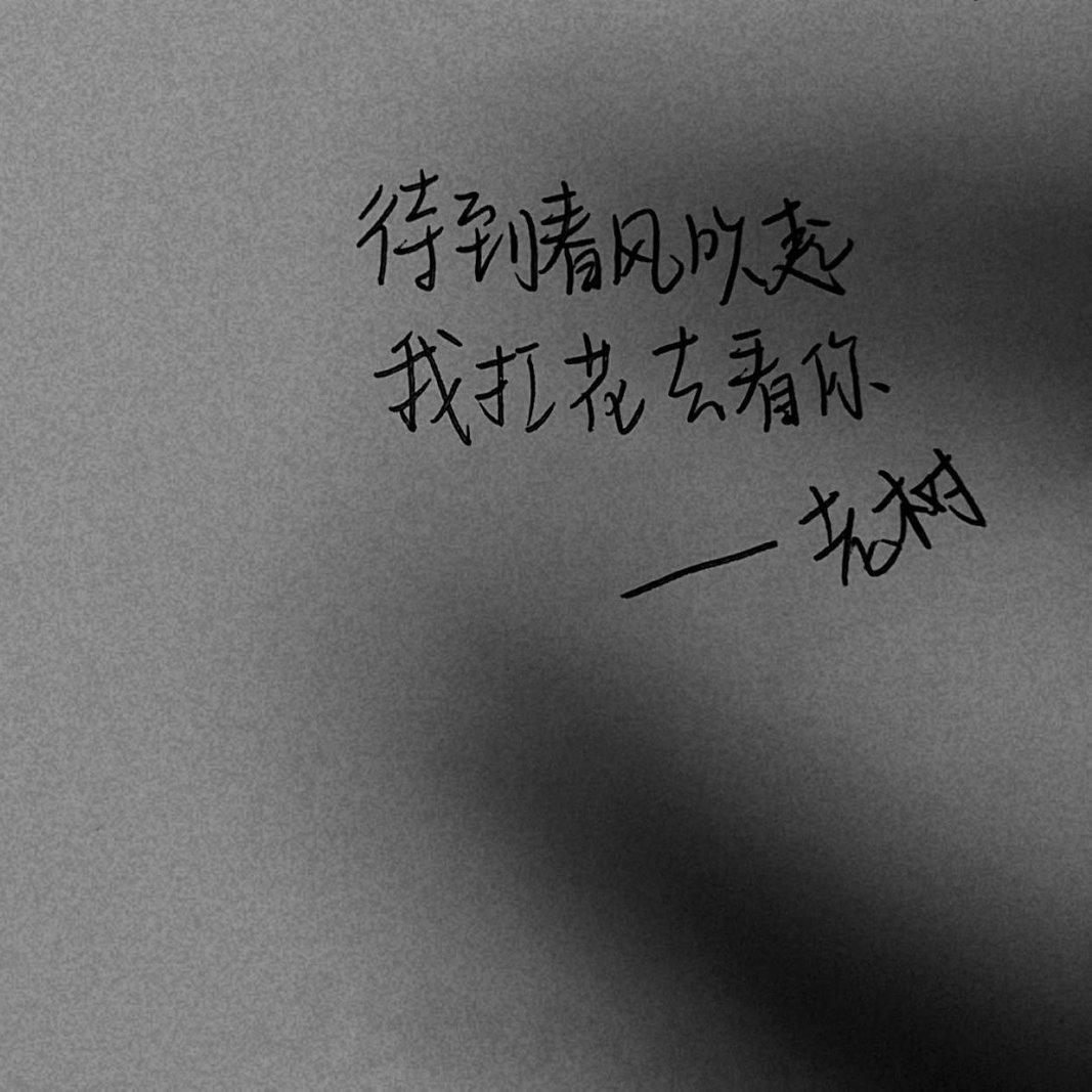 一只民谣狗的日常