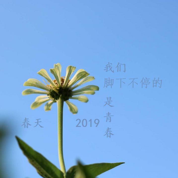 花周专辑