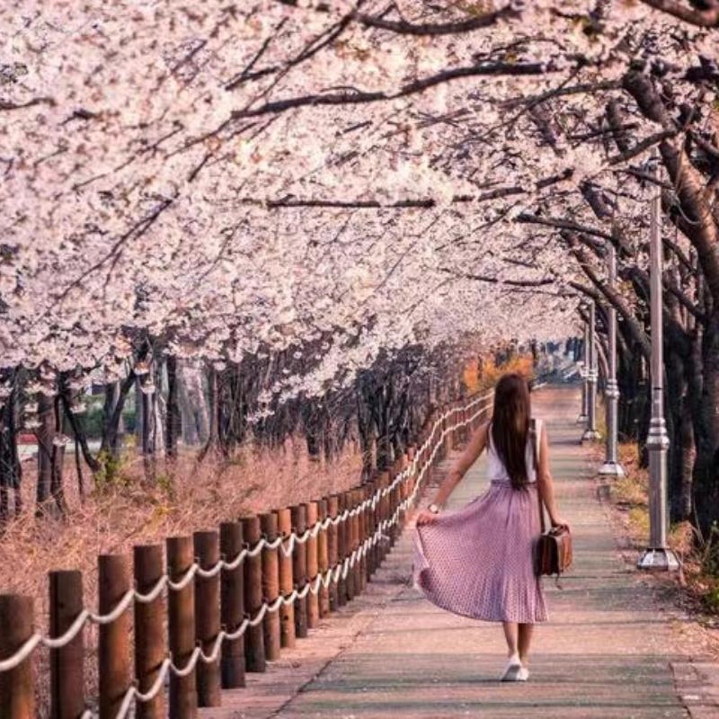 春日好时光 | 春光无限好 出门踏青吧