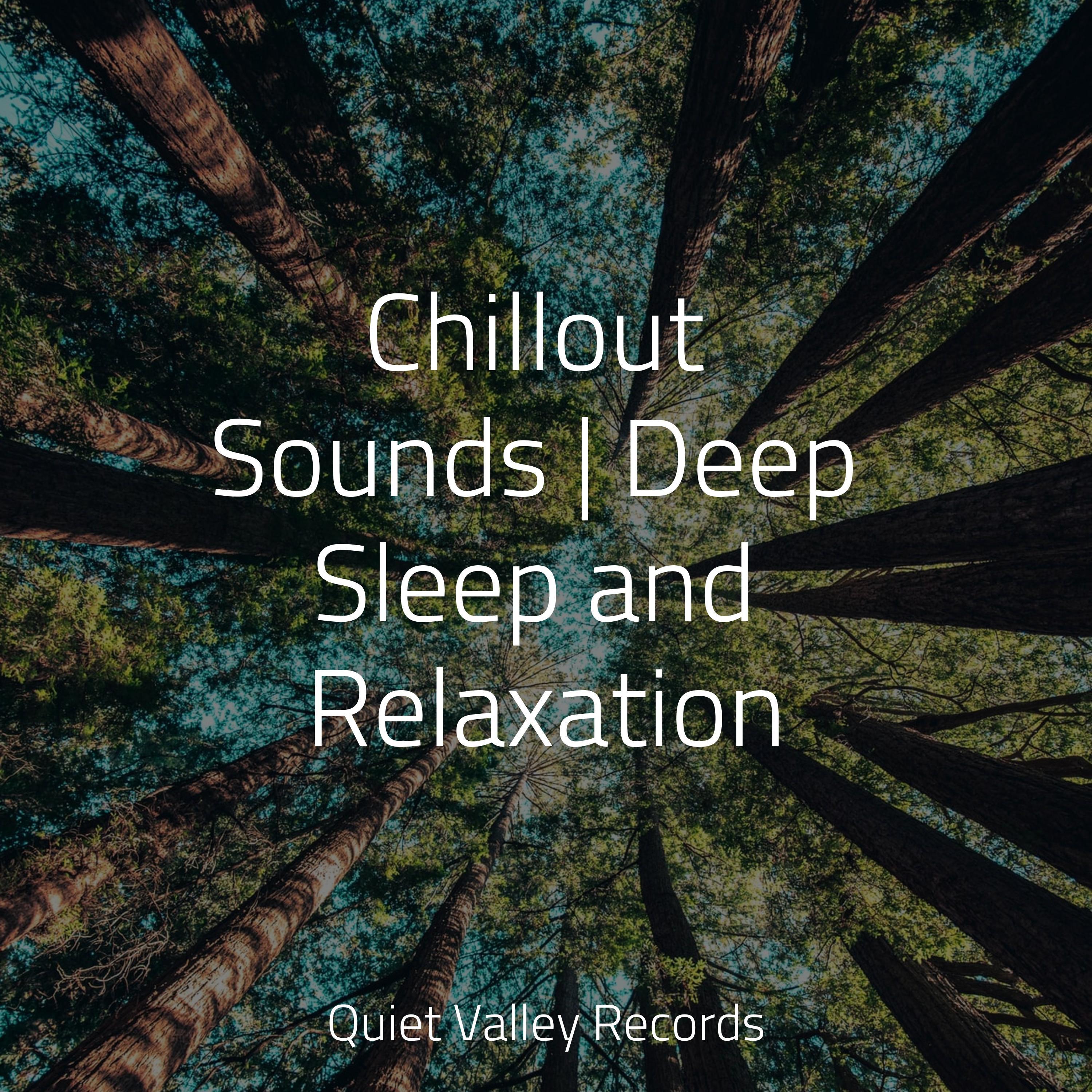 Chillout Sounds | Deep Sleep and Relaxation - Mother Nature FX - 专辑 - 网易云音乐