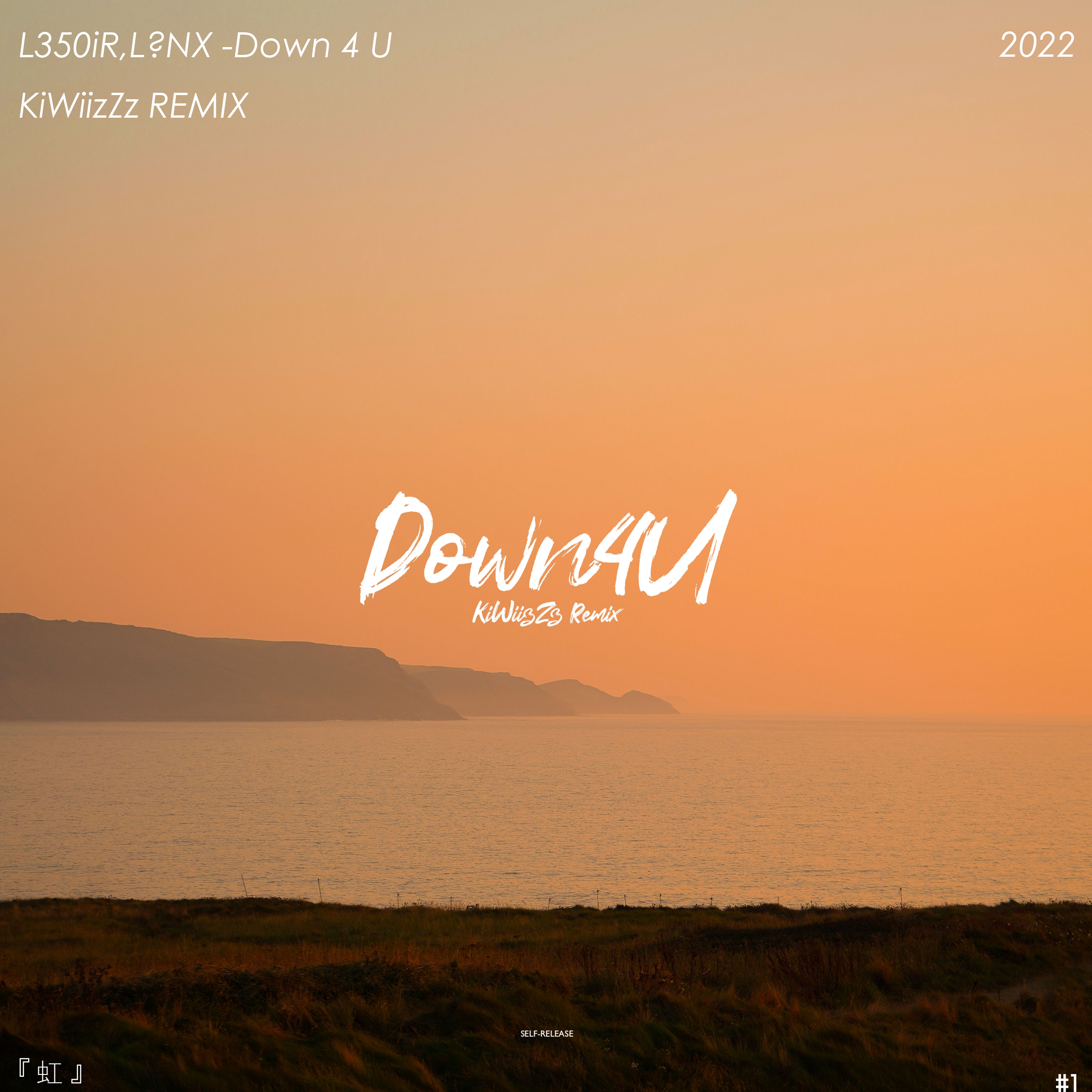 DOWN 4 U（KiWiizZz Bootleg）