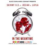 In The Meantime ft. Jo-Stak & Layla专辑