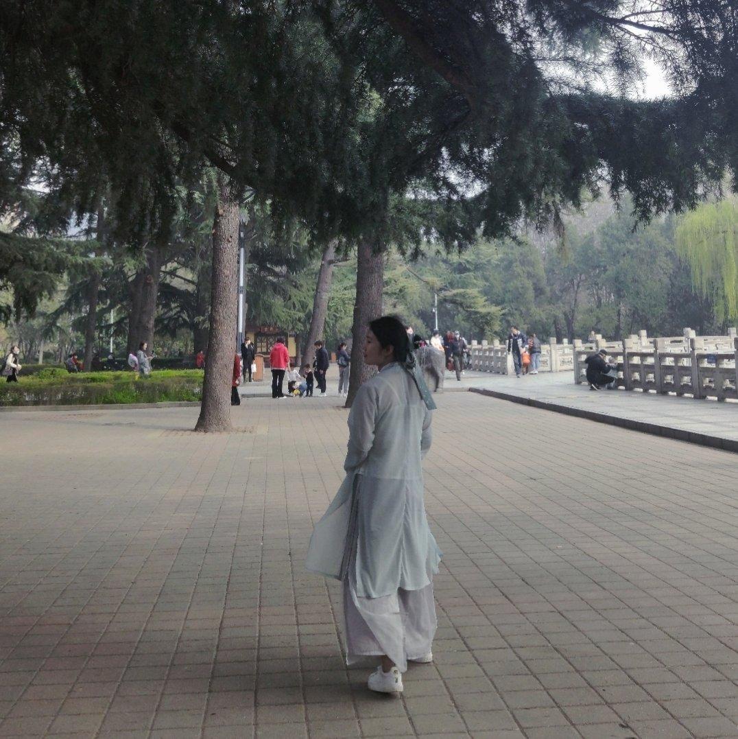 杨花落尽子规啼‖ 古风