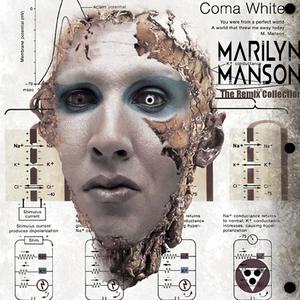 Marilyn Manson-Putting Holes In Happiness 有和声版立体声伴奏