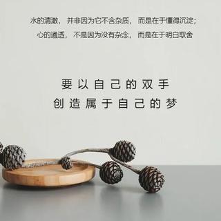 励志纯音乐，努力赋予了人生更多意义⑦