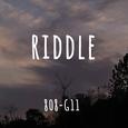 RIDDLE（谜语）