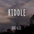 RIDDLE（谜语）