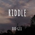 RIDDLE（谜语）专辑