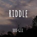 RIDDLE（谜语）专辑