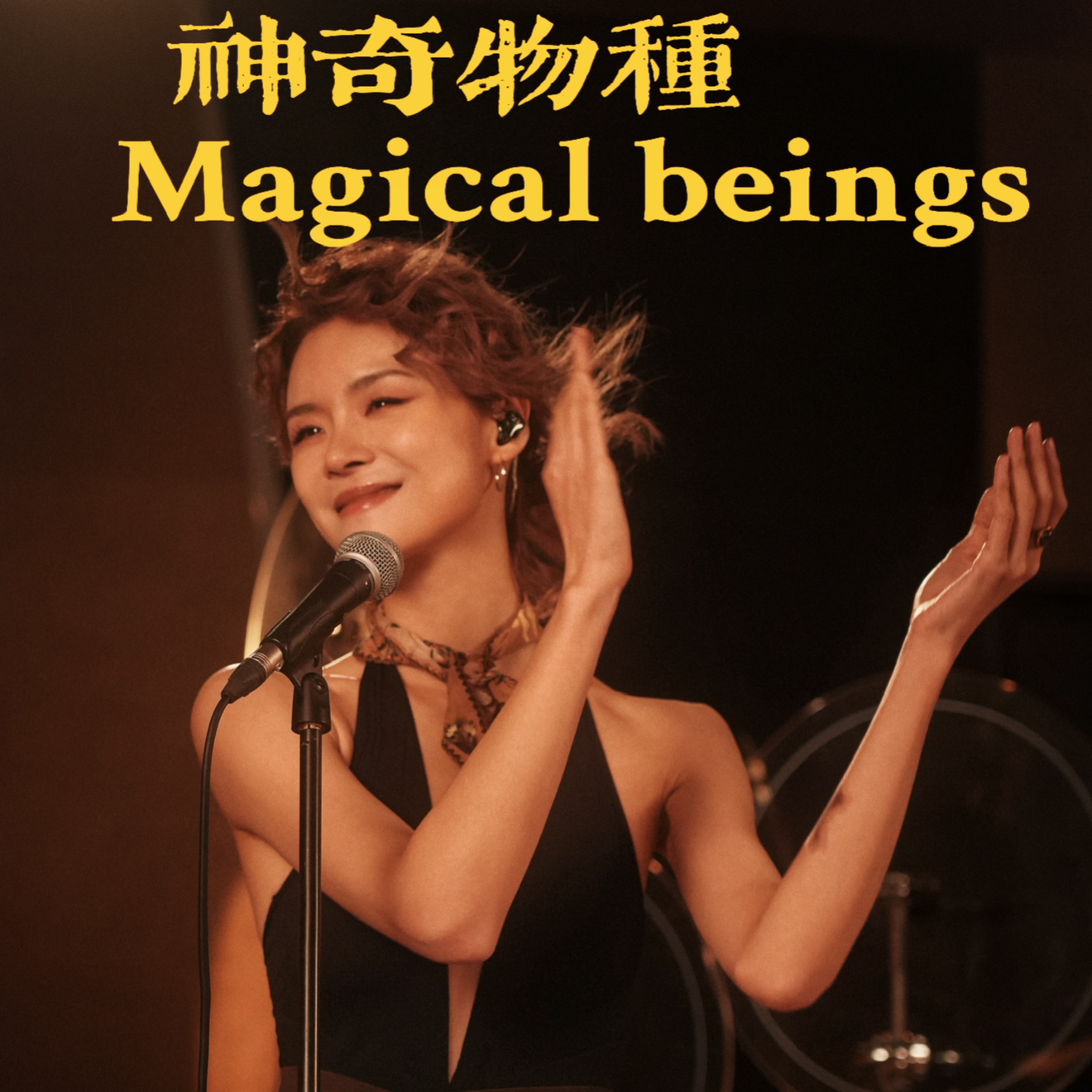神奇物种magicalbeings