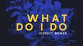 What Do I Do (Dunisco Remix)专辑