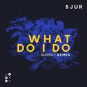 What Do I Do (Dunisco Remix)