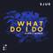 What Do I Do (Dunisco Remix)专辑