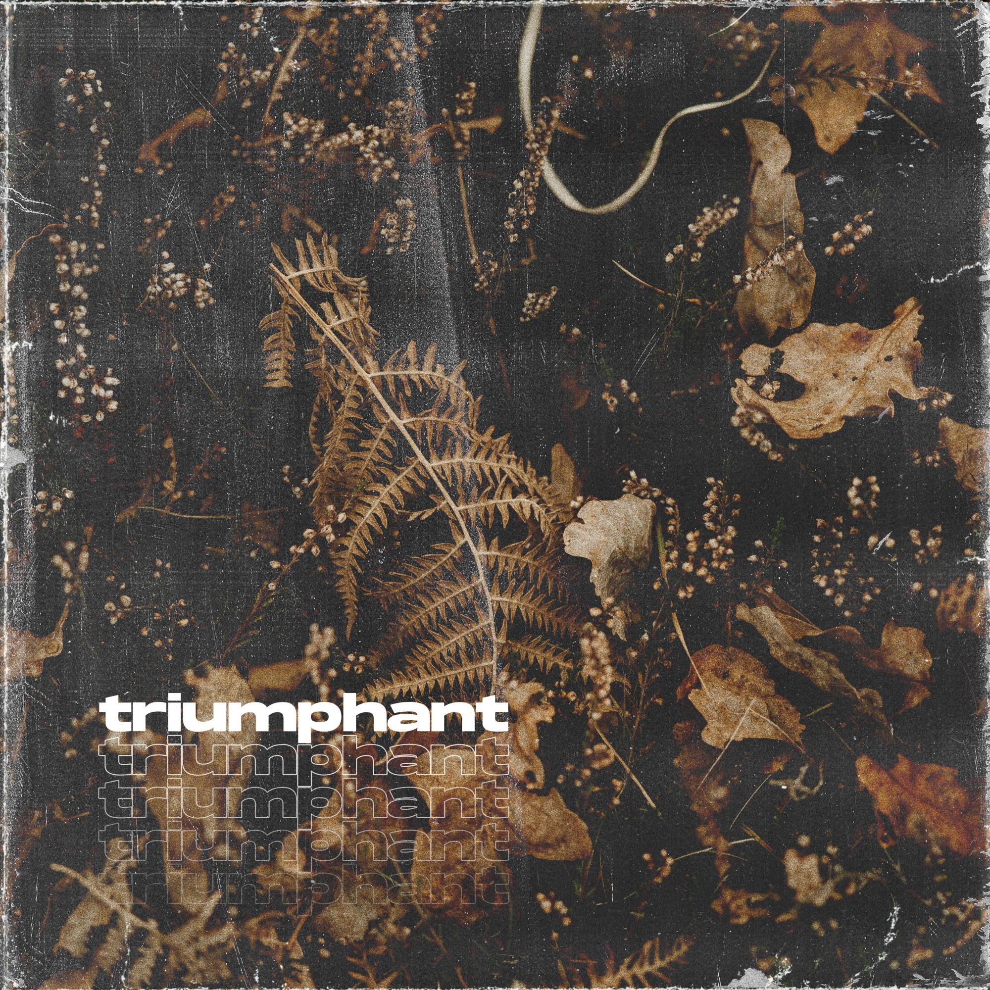 "TRIUMPHANT"-Rage x Hyperpop Type Beat