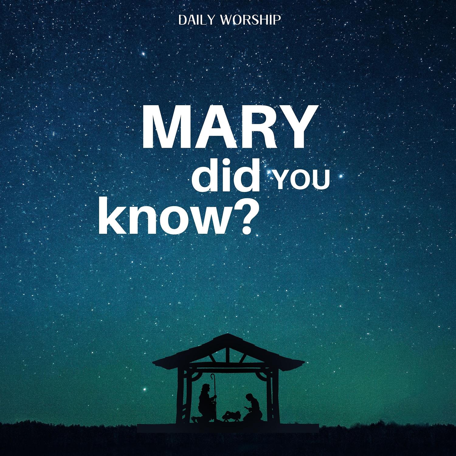 Mary Did You Know? (Piano Instrumental)