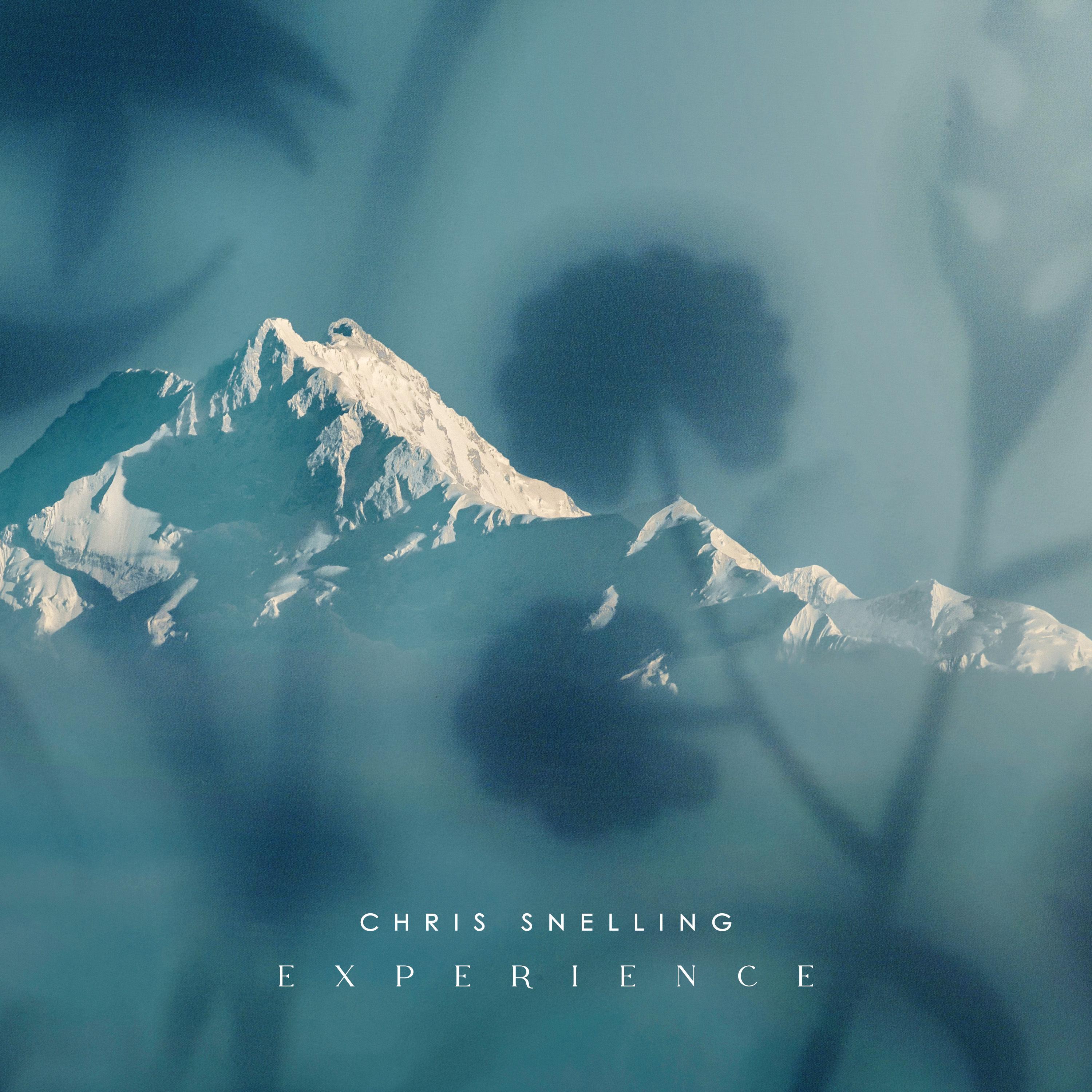 Experience