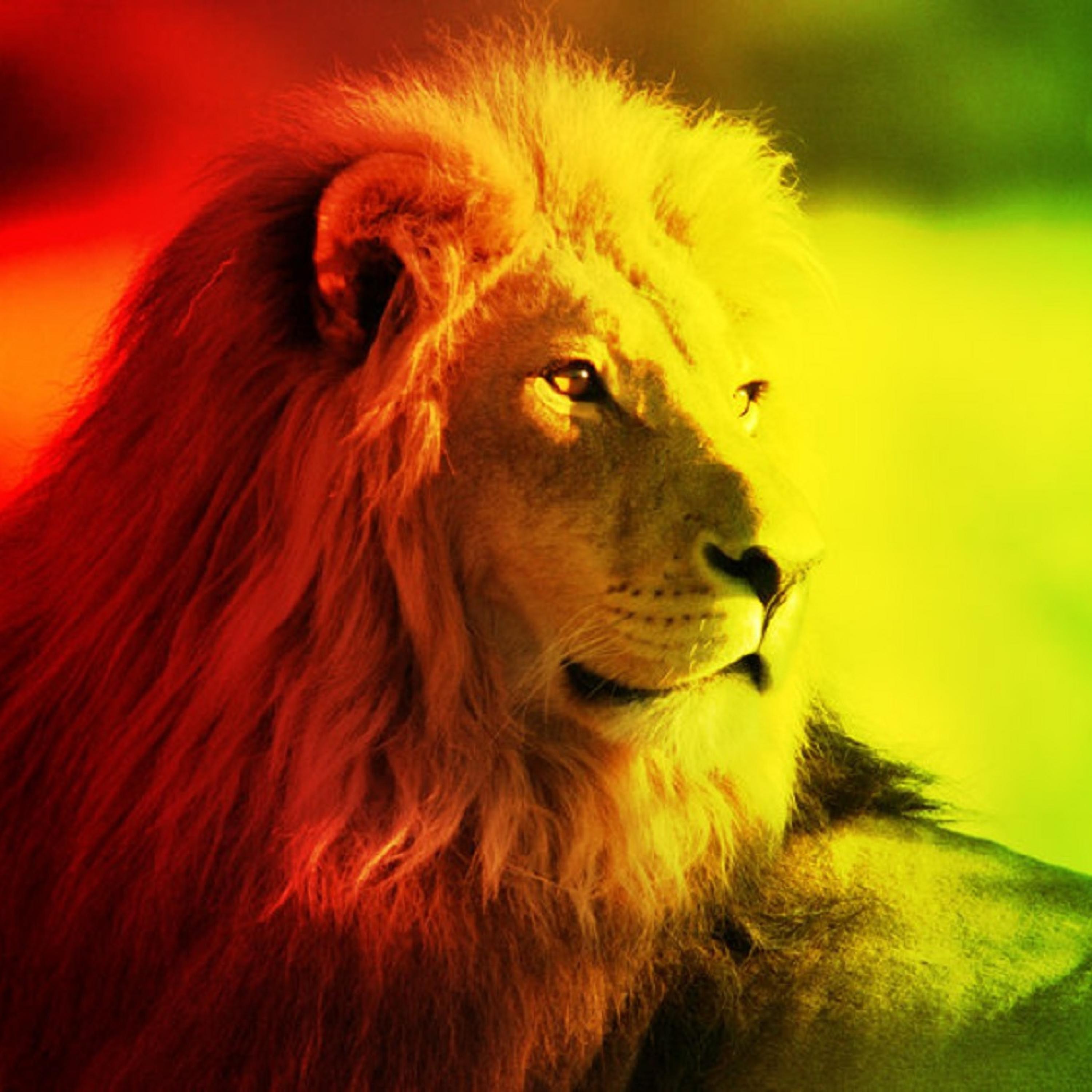 Words of Wisdom (feat. Lioness)