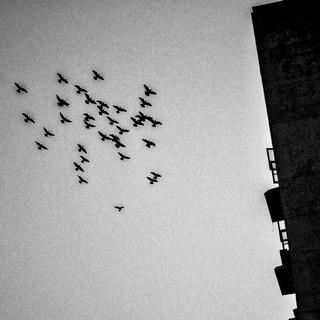 躺床上时，心里想着的事