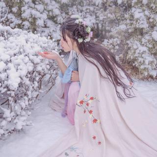 「古风」寒冬已知 瑞雪纷飞