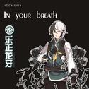 In your breath专辑