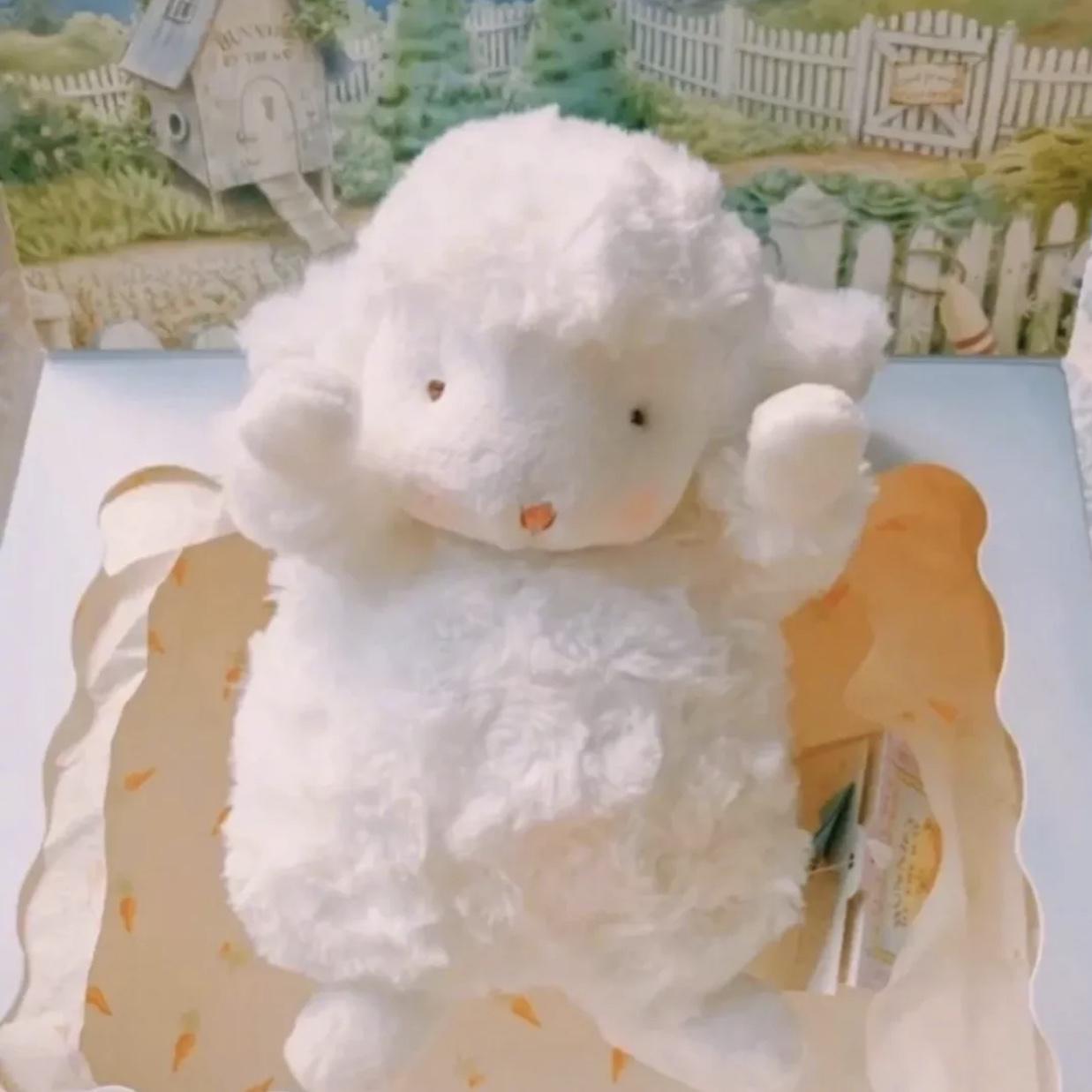 山楂树之恋