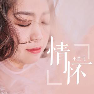 情怀 【伴奏】 - 小黄飞