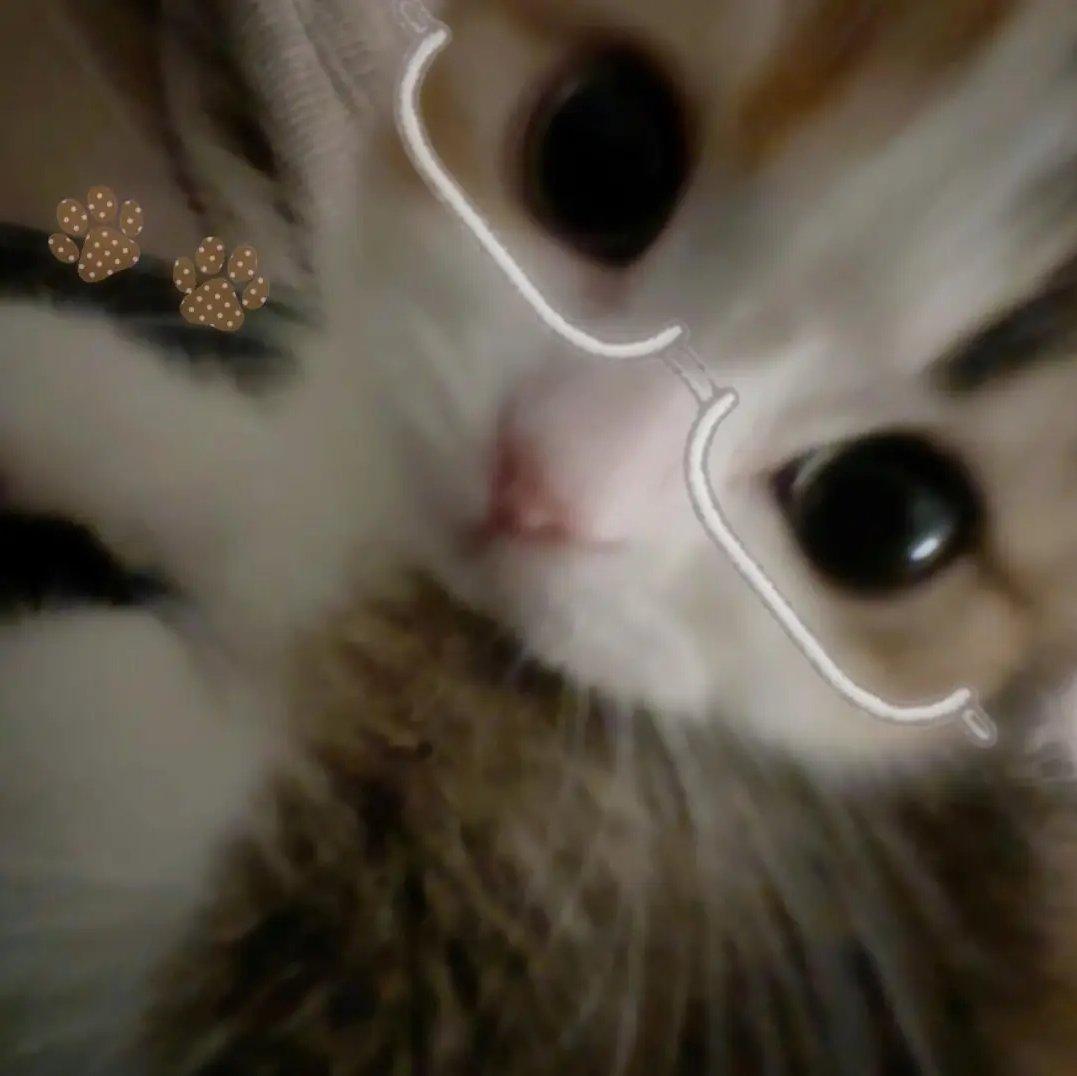 《纸飞机》