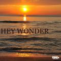 Hey Wonder